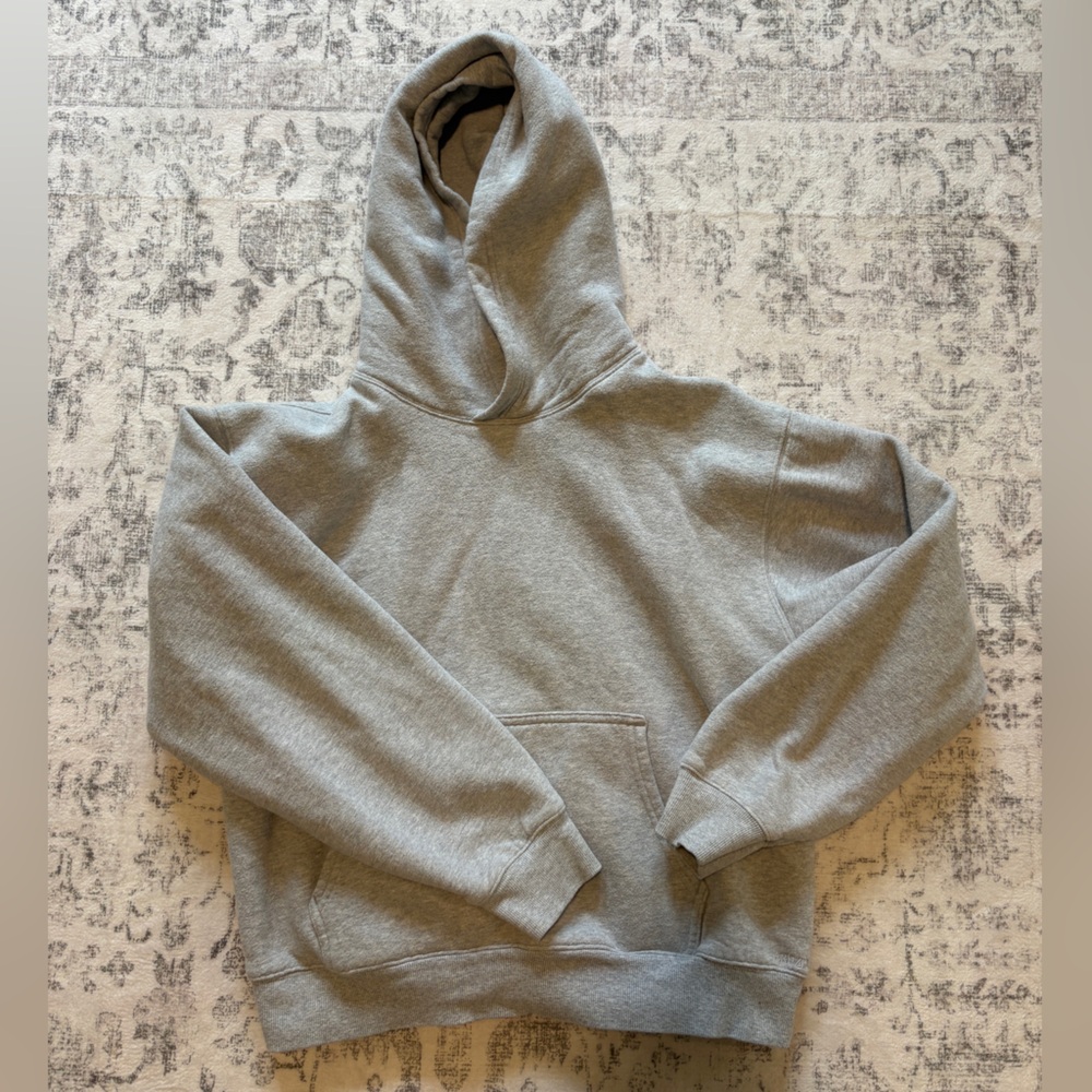Grey Aritzia sweatshirt